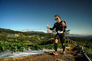 BIB: 
                            <button type="button" onclick="openModal(19122194)" class="btn btn-primary btn-sm float-right btn-popup" data-toggle="modal" data-target=".modal-high-quality">
                        <i class="fas fa-shopping-cart"></i> Add to Cart
                    </button>
                                            <button type="button" onclick="isThisMe(19122194, true)" class="btn btn-success btn-sm float-right btn-popup btn-isme hidden" data-toggle="tooltip" data-placement="bottom" title="นี่คือรูปของคุณใช่ไหม คลิกที่นี่เพื่อเอาเข้าอัลบั้ม">
                        <i class="fas fa-plus"></i> Add to album
                    </button>
                    <button type="button" onclick="isThisMe(19122194, false)" class="btn btn-warning btn-sm float-right btn-popup btn-isnotme hidden">
                        <i class="fas fa-ban"></i> Remove from album
                    </button>